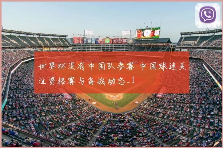 世界杯没有中国队参赛 中国球迷关注资格赛与备战动态_1