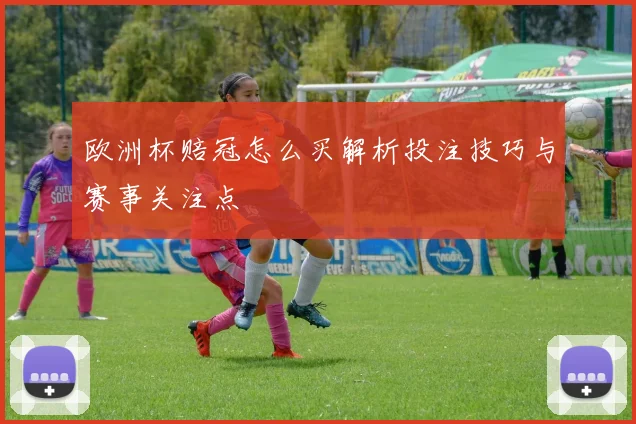 欧洲杯赔冠怎么买解析投注技巧与赛事关注点