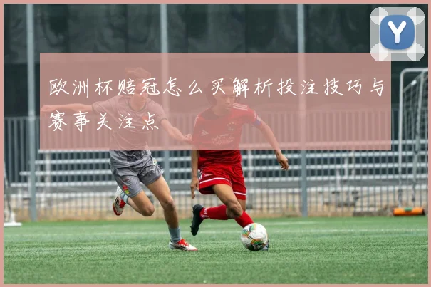 欧洲杯赔冠怎么买解析投注技巧与赛事关注点