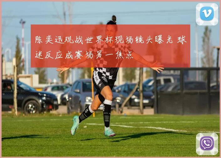 陈奕迅观战世界杯现场镜头曝光 球迷反应成赛场另一焦点