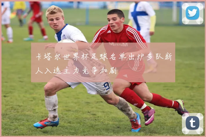 卡塔尔世界杯足球名单出炉多队新人入选主力竞争加剧