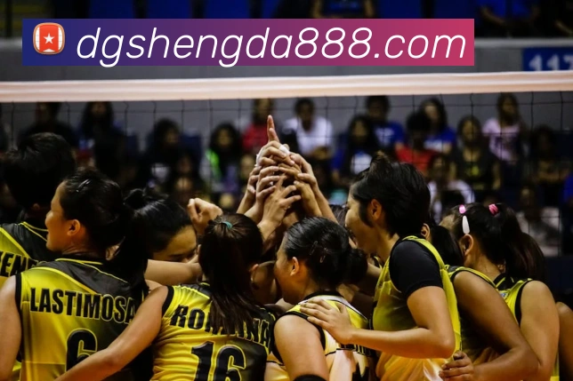 6566体育app是什么东西品牌故事