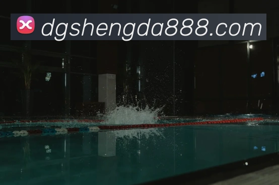 6566体育app是什么东西服务体系